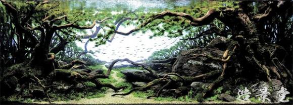 bể bơi tuyệt đẹp,bể cá nghệ thuật