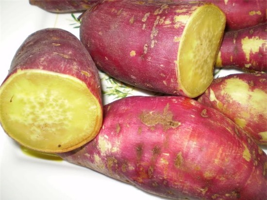Thực phẩm tốt cho sức khỏe,Khoai lang,Sữa chua,Đậu nành,Cá hồi