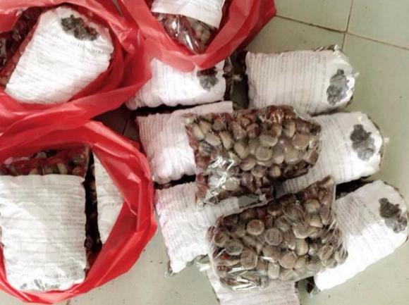 Lối sống trẻ,Kinh doanh qua mạng,Kinh doanh tết