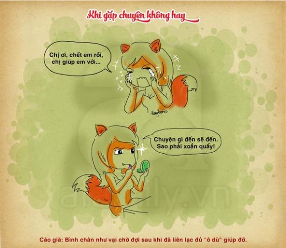 công sở,là cáo,là thỏ,chốn công sở