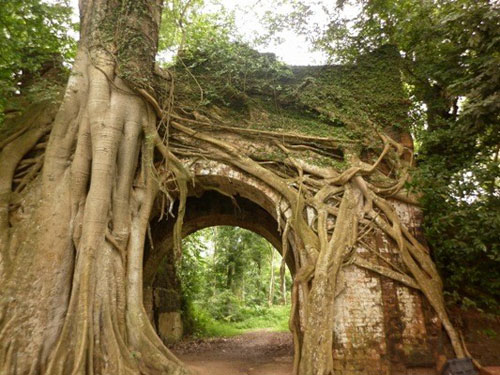 Địa danh du lịch,Du lịch Vũng Tàu,Rừng quốc gia Ba Vì,Làng cổ Đường Lâm