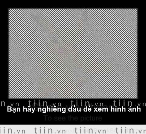 ảnh vui,ảnh chế,hài hước,ảnh tếu,ảnh hài hước