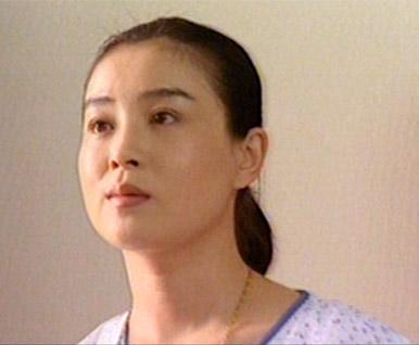 nàng phi yến,Triệu Minh Minh 