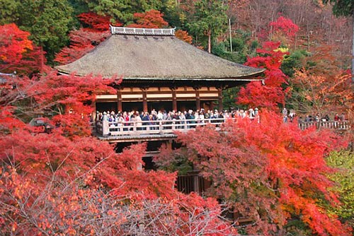 Du lịch,du lịch Kyoto,khám phá mùa lá đỏ ở Kyoto