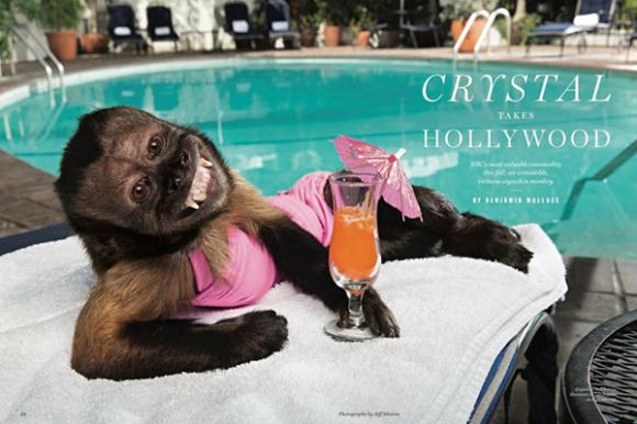 Bảng lương,hé lộ bảng lương chi tiết đầy bất ngờ của ngành phim tại Hollywood