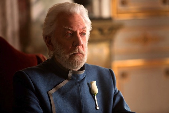 The Hunger Games, The Hunger Games Morkingjay, phim 