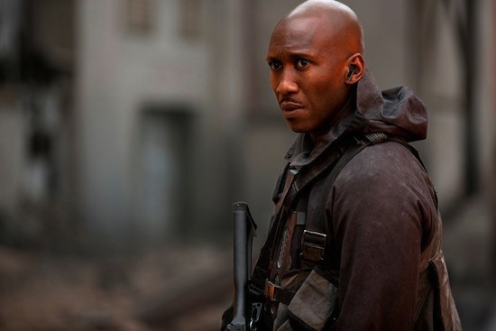 The Hunger Games, The Hunger Games Morkingjay, phim 