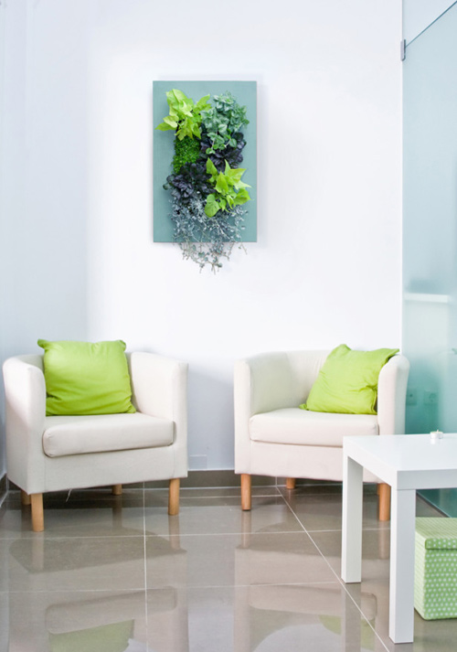 Vườn treo, Trang trí nhà đẹp, Bố trí nội thất