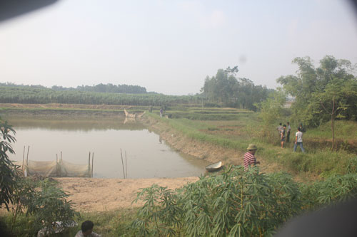 Thi thể nam giới, Xác chết bên bờ ao, Thi thể nằm mép bờ ao