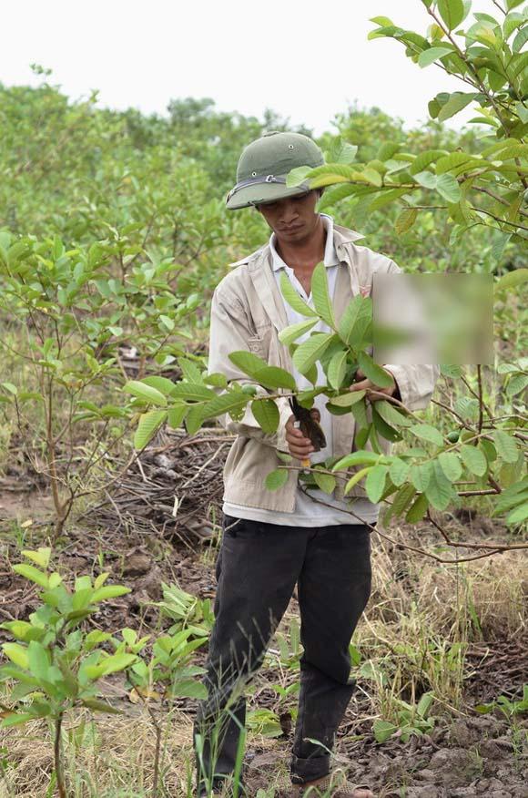 Hiện tượng,hiện tượng giới trẻ,4 hiện tượng mạng nhanh nổi chóng chìm