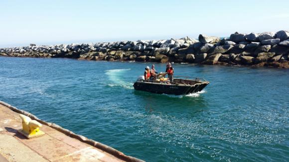 Ông bầu Minh Chánh, Minh Chanh, Hoa hậu người Việt toàn cầu, Hoa hậu Phu nhân người Việt Thế giới