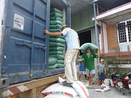 Gạo,thị trường gạo,thị trường gạo thế giới đang cạnh tranh gay gắt