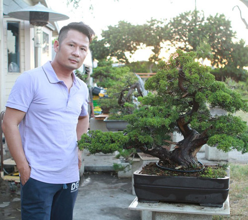 Bằng Kiều, Nhà Bằng Kiều, Vườn bonsai của Bằng Kiều