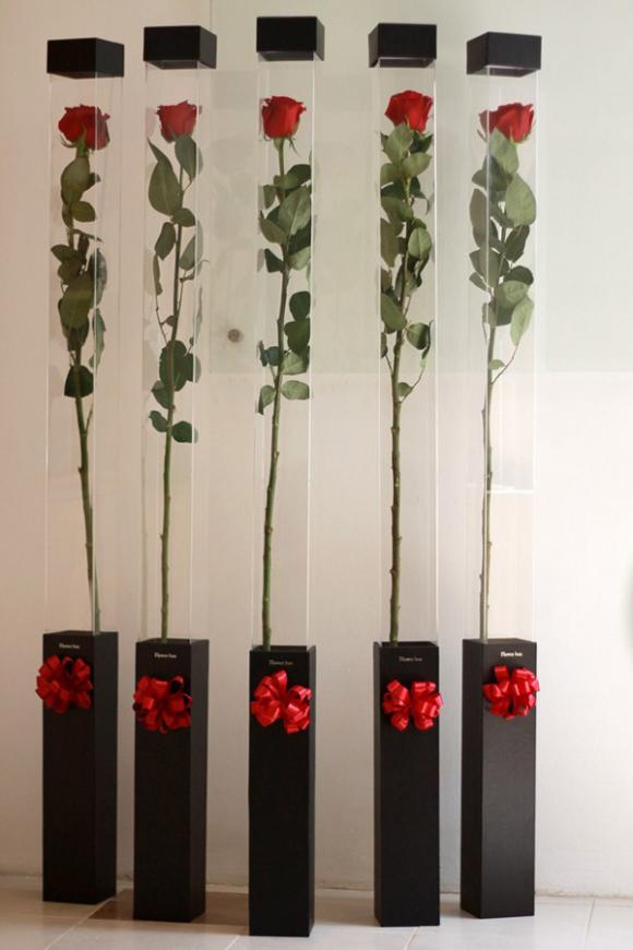 Hoa hồng,hoa hồng dài 1,6m,hoa hồng dài 1,6m giá 700.000 đồng hút khách Sài Gòn,hoa hồng ngày 20/10,ngày phụ nữ Việt Nam