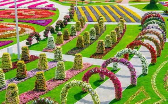 Vườn hoa,khám phá vườn hoa lớn nhất thế giới tại Dubai