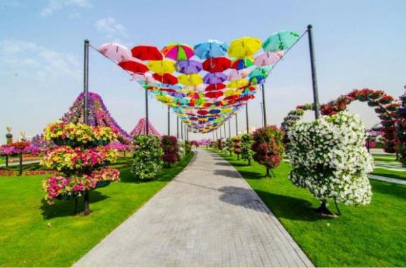 Vườn hoa,khám phá vườn hoa lớn nhất thế giới tại Dubai