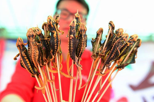 Món ăn,món ăn côn trùng,lễ hội món ăn côn trùng ở Trung Quốc