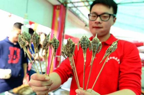 Món ăn,món ăn côn trùng,lễ hội món ăn côn trùng ở Trung Quốc