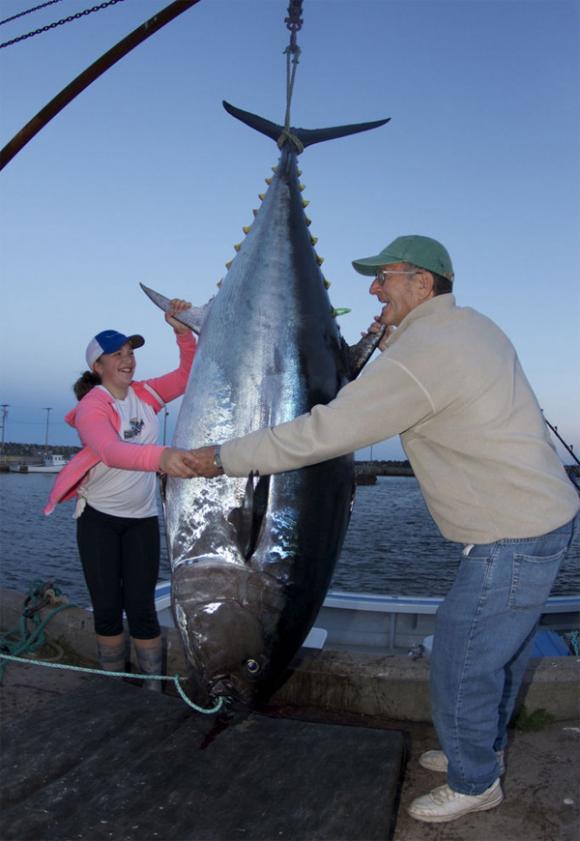 Cá ngừ,cá ngừ khổng lồ,cô bé 12 tuổi bắt gọn cá ngừ khổng lồ nặng 280 kg