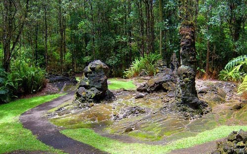 Rừng cây,rừng cây nham thạch,khám phá rừng cây nham thạch độc đáo ở Hawaii