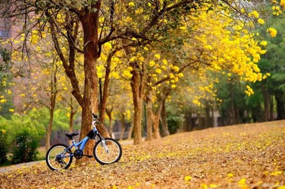 Trắc nghiệm ngày chủ nhật,cung hoàng đạo,đoán vận mệnh qua ngày