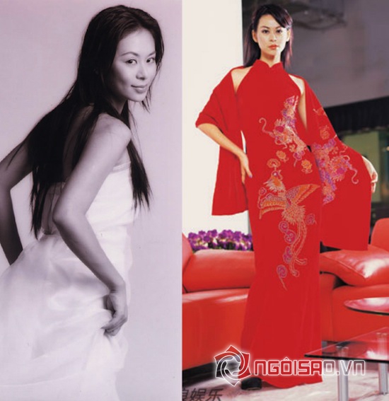 hoa hậu châu Á ATV, hoa hậu châu Á, hoa hậu châu Á 2014, nhan sắc các hoa hậu châu Á 