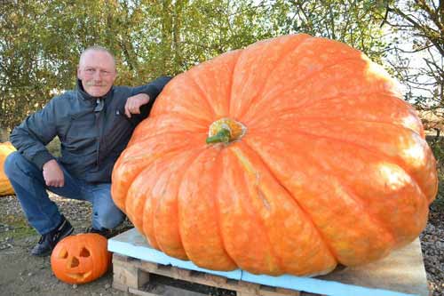 Bí ngô,quả bí ngô Halloween khổng lồ nặng 464kg
