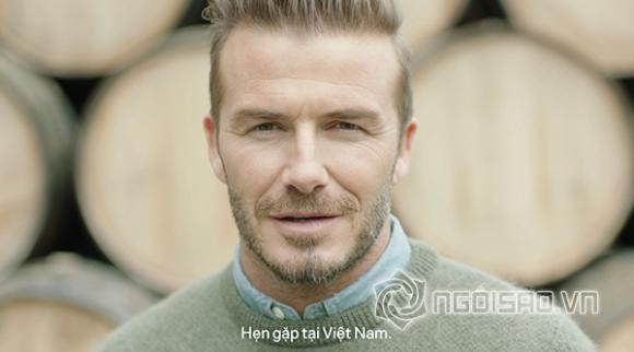 david beckham, cau thu david beckham, david beckham den viet nam, beckham toi tham viet nam