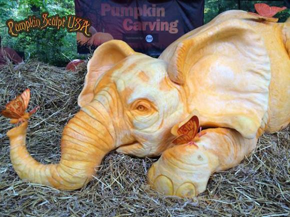 Chú voi,chú voi khổng lồ,chú voi nặng 408 kg làm từ bí ngô