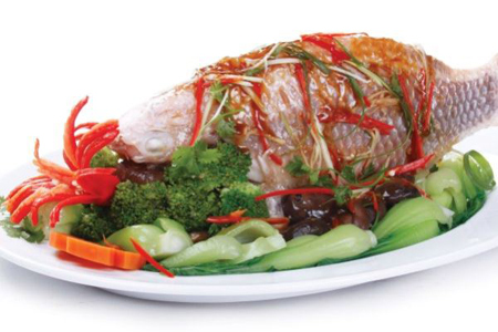 Cá,ăn cá,ăn nhiều cá tốt có thực sự tốt sức khỏe?