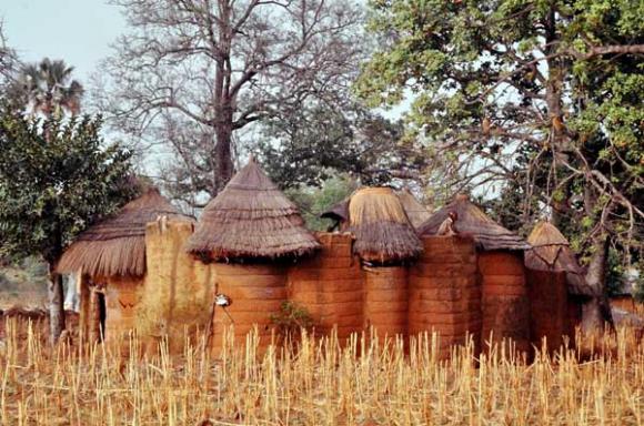 Ngôi làng,ngôi làng toàn người sống trong 'củ nấm'