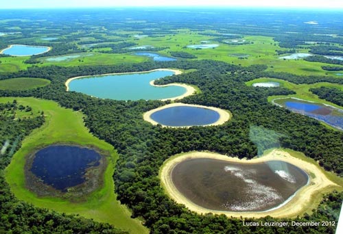 Đầm lầy nước ngọt lớn nhất thế giới, Đầm lầy Pantanal, Du lịch Brazil