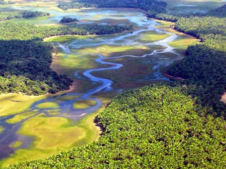 Đầm lầy nước ngọt lớn nhất thế giới, Đầm lầy Pantanal, Du lịch Brazil