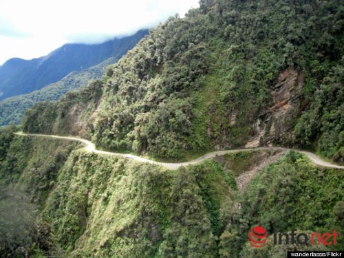 Rừng Amazon, Đường Bắc Yungas, Cung đường tử thần