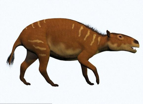 Thai nhi,thai nhi hóa thạch,hóa thạch thai nhi ngựa cổ tồn tại suốt 47 triệu năm