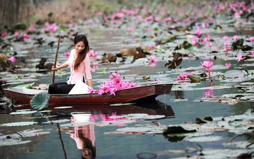 Chùa Hương, Du lịch Chùa Hương, Chùa Hương mùa hoa súng