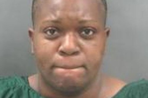 Ác nữ,ác nữ đánh con,‘ác phụ’ dùng gậy bóng chày đánh đập con lĩnh 78 năm tù