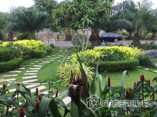 Cao Thái Sơn, Cao Thái Sơn khoe nhà, Cao Thái Sơn khoe sân vườn, Cao Thái Sơn vườn đẹp, Cao Thái Sơn 2014, sao việt