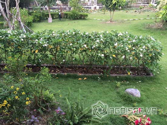 Cao Thái Sơn, Cao Thái Sơn khoe nhà, Cao Thái Sơn khoe sân vườn, Cao Thái Sơn vườn đẹp, Cao Thái Sơn 2014, sao việt