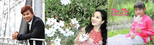 Đan Trường, Cao Thùy Linh, Phòng trà MTV, Danh Hài Trường Giang