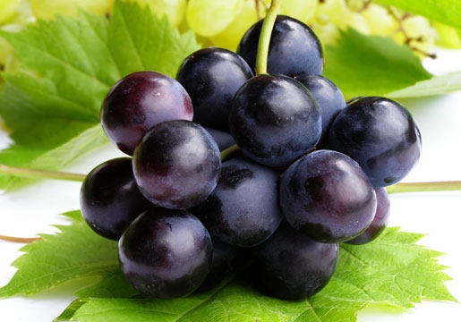Vỏ trái cây,lợi ích của vỏ trái cây,lợi ích không ngờ của các loại vỏ trái cây trong chữa bệnh