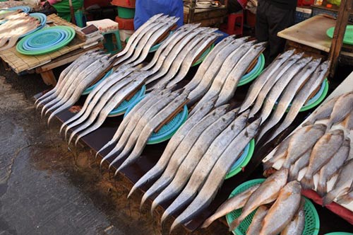 Jagalchi, Chợ hải sản lớn nhất Hàn Quốc, Du lịch Hàn Quốc