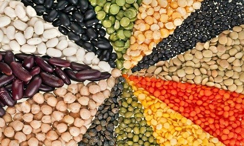 Loại hạt,loại hạt thần dược,top  4 loại hạt là thần dược sức khỏe bạn nên ăn mỗi ngày