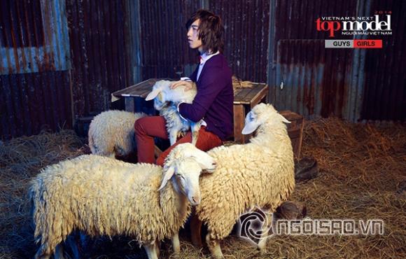 Vietnam's Next Top Model 2014, Next Top Model, chụp ảnh với cừu