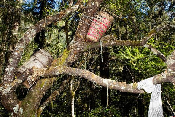 Tục lệ,tục lệ mai táng,mai táng người chết trên cây