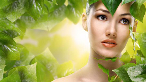 Mỹ phẩm Sakura, Mỹ phẩm chính hãng, Mỹ phẩm uy tín