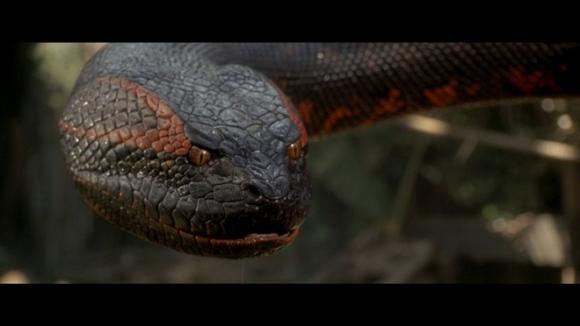Loài rắn,phim về loài rắn,loài rắn,4 bộ phim về loài rắn