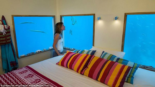 Chuyện lạ 4 phương , Chuyện lạ thế giới , Phi thường , Chuyện lạ có thật , Chuyện lạ khó tin