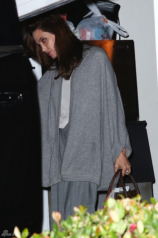 Angelina Jolie, Jolie và con gái, con Jolie, Brad Pitt, gia đình Jolie 