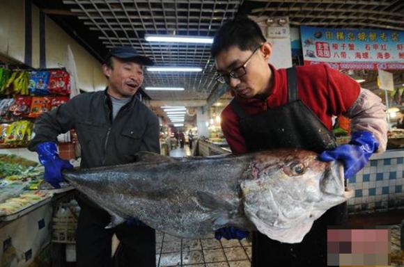 Cá lạ,cá lạ nặng hơn 50kg,ngư dân Trung Quốc bắt được ca lạ